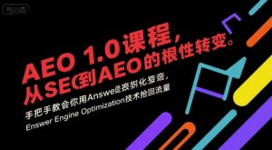 AEO 1.0 课程，从SEO到AE0的基命性转变，手把手教会你用AnswerEngineOptimization技术抢回流量-网创项目