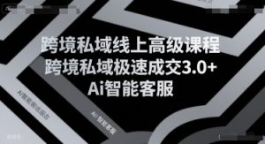 跨境私域线上高级课程,跨境私域极速成交3.0+Ai智能客服-网创项目