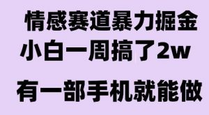 情感暴力掘金项目，新人操作一周挣了2W，长期稳定小白可做【揭秘】-网创项目