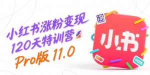 小红书涨粉变现120天特训营Pro版11.0:从0到1掌握平台运营,内容制作和变现-网创项目