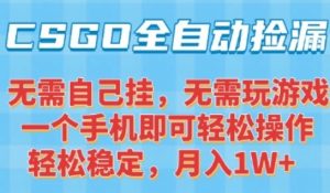 CSGO自动捡漏项目，最新独家玩法，一个手机可操作，新手小白轻松月入1W+，操作简单易上手【揭秘】-网创项目