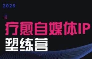 2025治愈自媒体IP训练营，专为疗愈领域从业者打造-网创项目