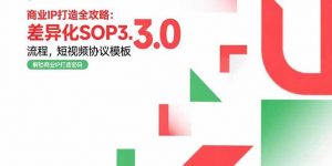 商业IP打造全攻略：差异化SOP3.0流程，短视频协议模板，婚恋项目实战案例-网创项目
