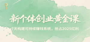 新个体创业黄金课,7天构建可持续赚钱系统,抢占2025红利-网创项目