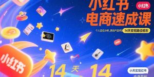 小红书虚拟电商速成课:个人定位分析,原创产品开发,14天变现路径规划-网创项目