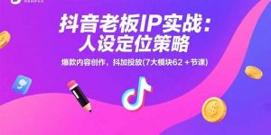 抖音老板IP实战：人设定位策略，爆款内容创作，抖加投放(7大模块62+节课-网创项目