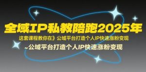 全域IP私教陪跑2025年,这套课程教你在公域平台打造个人IP快速涨粉变现-网创项目
