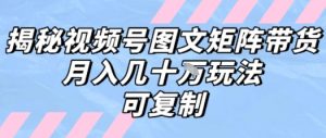 解密视频号图文矩阵带货,月入几个W的打法,可复制-网创项目