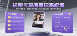 视频号直播变现系统课,账号开通装修、直播全流程准备、私域流量运营、成交转化技巧等-网创项目