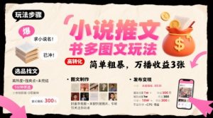小说推文小红书多图文玩法，简单粗暴，万播收益3张-网创项目
