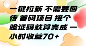 一键拉新 不需要回传 首码项目 接个验证码就算完成 一小时收益70+【揭秘】-网创项目