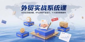 外贸实战系统课:B2B全流程拆解,RFQ深度开发技巧,十大案例策略解析-网创项目