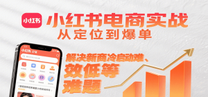 小红书电商实战，从定位到爆单解决新商冷启动难、变现效率低等难题-网创项目