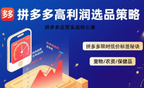 拼多多选品暴利技术实战课，拼多多高利润选品策略，拼多多限时低价标签秘诀-网创项目