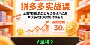 拼多多实战课:从高利润选品到自然流高投产起爆 30天实现低风险可持续盈利-网创项目