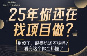 25年,你还在疯狂的找项目吗?别傻了,看完这个你都懂了【揭秘】-网创项目