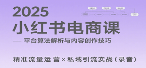 2025小红书电商课：解析算法，创作高转化内容，助力卖家获取流量实现变现(录音)-网创项目