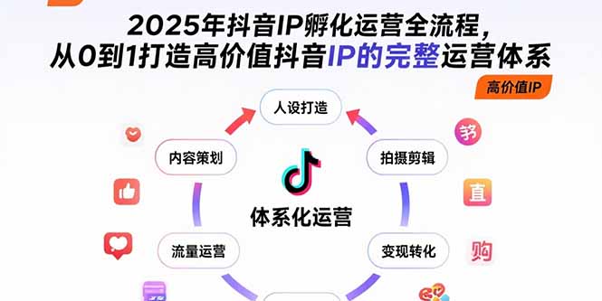 2025年抖音IP孵化运营全流程，从0到1打造高价值抖音IP的完整运营体系-网创项目