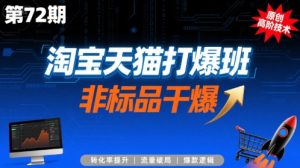 淘宝天猫打爆班原创高阶技术第72期，非标品干爆-网创项目