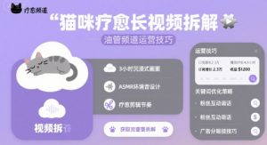 猫咪疗愈长视频拆解 &油管频道运营技巧-网创项目