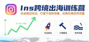 Ins跨境出海训练营,实战驱动玩法,打破不涨粉怪象,玩转社媒自然流量-网创项目