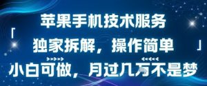 苹果手机技术服务，独家拆解，操作简单，小白可做，月过1W不是梦-网创项目