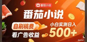 稳定3年官方番茄小说自刷稿费小白单日500+-网创项目