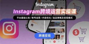 Instagram跨境运营实战:平台认知/账号运营/内容优化/选品策略及变现模式-网创项目