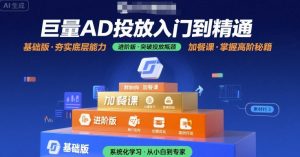 巨量AD投放入门到精通,基础版+进阶版+加餐课-网创项目