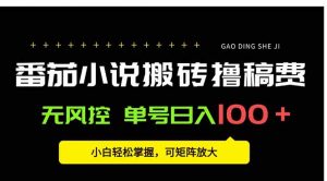 番茄小说创作人搬砖赚稿费，无风控单号日入100＋，小白轻松掌握，可矩…-网创项目