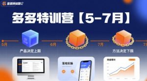 多多特训营【5-7月】产品决定上限，方法决定下限，各种玩法技巧落地实操-网创项目