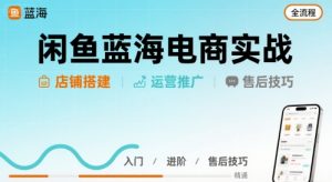 闲鱼蓝海电商实战,店铺搭建运营售后全流程-网创项目