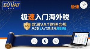 极速入门海外税,欧洲VAT财税合规,从0到1入门跨境电商财税-网创项目