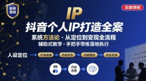抖音个人IP系统落地实操大课,实操课程,辅助落地-网创项目