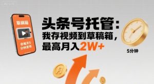 【头条号托管 】我存视频到草稿箱，你每天5分钟发布，最高月入2W+【揭秘】-网创项目