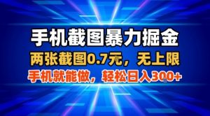 手机截图暴力掘金，两张截图0.7米，一部手机就能做，轻松日入3张+【揭秘】-网创项目