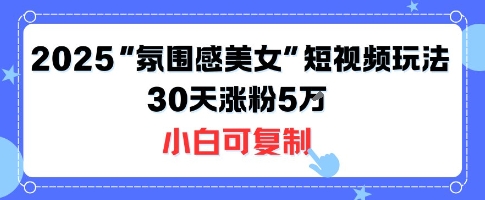 不露脸也能火！2025“氛围感美女”短视频玩法，30天涨粉5W小白可复制-网创项目