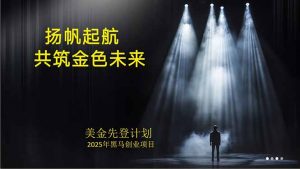 美金对冲创业项目，日收益1000-3000，小众暴力项目稳定运行8年-网创项目