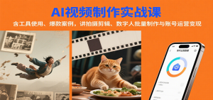 AI视频制作实战：含工具使用、爆款案例，讲拍摄剪辑、数字人批量制作与账号运营变现-网创项目