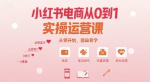 小红书电商从0到1实操运营课,从零开始,简单易学-网创项目