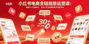 小红书电商全链路运营课：涵盖30+实操单元，实现从开店到爆款账号完整闭环-网创项目