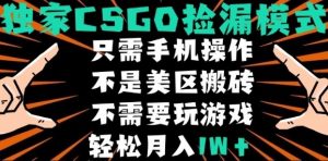 CSGO自动捡漏项目,最新独家玩法,不是美区搬砖,不需要了解和玩游戏,新手小白轻松月入1W+【揭秘】-网创项目