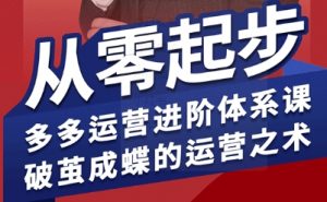 拼多多运营进阶系统课，从零起步，多多运营进阶体系课，破茧成蝶的运营之术-网创项目