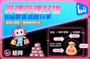 哔哩哔哩好物,B站带货流程分享,新风口项目,矩阵操作月1W-网创项目