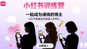 小红书训练营一起成为賺钱的博主,小红书是最适合普通人的风口-网创项目