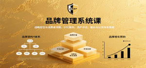 品牌管理系统课:战略定位与消费者洞察,DTC案例、资产评估,增长与公关体系搭建-网创项目