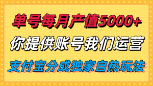 单月产值5000+,支付宝分成代运营,你提供账号坐等分钱,我们帮你运营-网创项目
