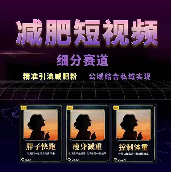 图片[2]-减肥短视频运营实战课：含素材制作、剪映教学，讲精准引流、变现设计与内容模板技巧-网创项目