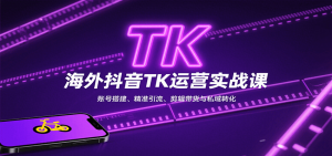 海外抖音TK运营实战课:账号搭建、精准引流、剪辑带货与私域转化-网创项目