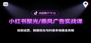 小红书聚光/乘风广告实战课:投放运营、数据优化与抖音本地推全攻略-网创项目